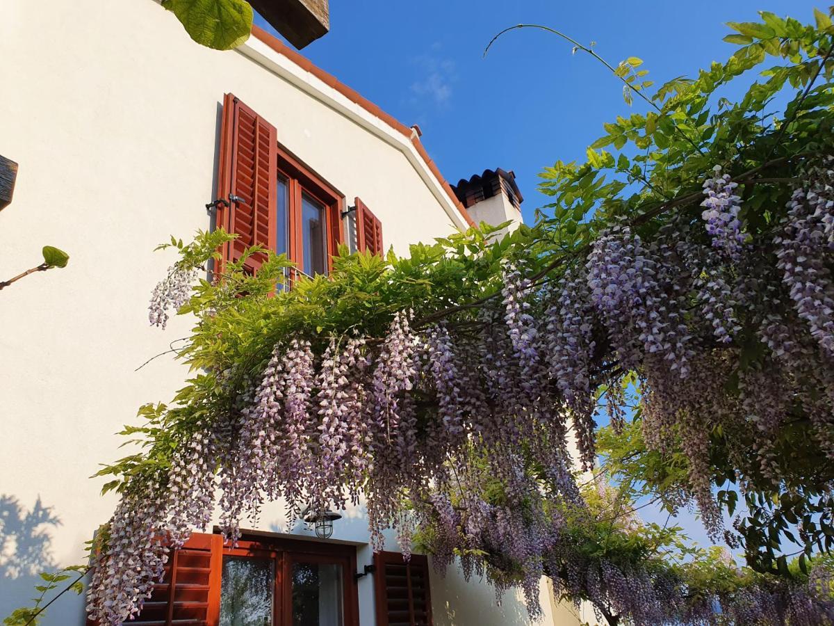 Vila Rosa Portorož Zewnętrze zdjęcie